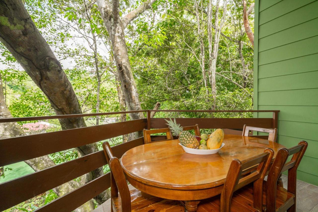 La Montanita Lodge Manuel Antonio Εξωτερικό φωτογραφία